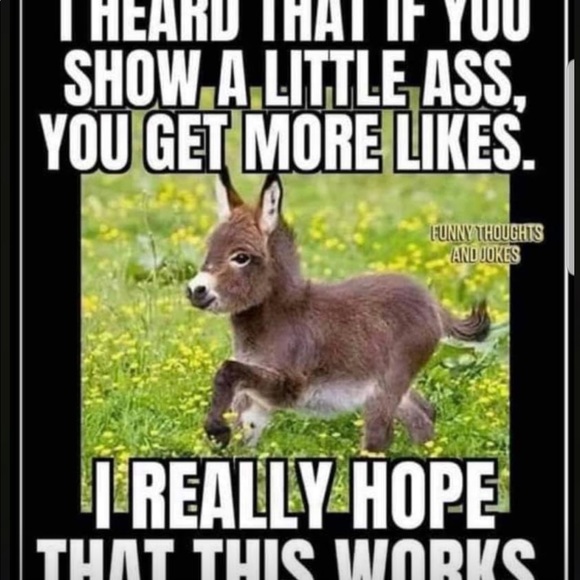 โถ๏ธGO TO NEW listing FOLLOW GAME #4 โก๏ธโก๏ธโก๏ธ - Picture 6 of 14